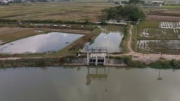 Hiện đại hóa hệ thống thủy lợi ở Hải Phòng: [Bài 1] Mệnh lệnh cấp bách