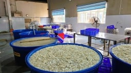 Phát hiện 13 tấn chân gà ngâm hóa chất tẩy trắng