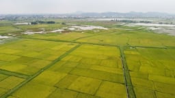 Nam Sudan, Nepal tìm hiểu kinh nghiệm phát triển nông thôn bền vững của Việt Nam