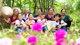 Nền tảng 15 năm xây dựng nông thôn mới