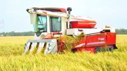 Đồng Tháp tái cơ cấu nông nghiệp để tăng trưởng xanh