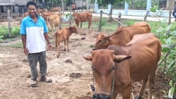 Chuyện giảm nghèo ở xã đặc biệt khó khăn