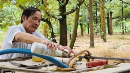 Đồng Nai trước không gian phát triển mới: [Bài 1] Bứt phá thu hút đầu tư nông nghiệp công nghệ cao