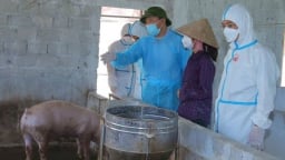 Thứ trưởng Phùng Đức Tiến 'cầm tay chỉ việc' dập dịch tả lợn Châu Phi
