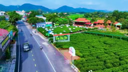 Phát triển du lịch sinh thái, cộng đồng gắn với bản sắc trà Tân Cương