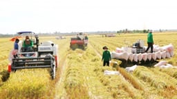 Đồng Tháp vươn mình nhờ nông thôn mới gắn tái cơ cấu nông nghiệp