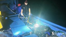 Nguy cơ gia tăng đánh bắt hải sản bằng thuốc nổ, xung điện