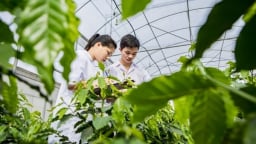 Học viện Nông nghiệp Việt Nam tuyển sinh 120 chỉ tiêu tiến sĩ 2025