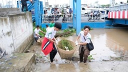 Tổ chức Lễ phát động Ngày Môi trường, Ngày Đại dương thế giới vào 1/6
