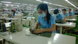 Mở rộng vai trò bảo hiểm thất nghiệp trong dự thảo Luật Việc làm (sửa đổi)