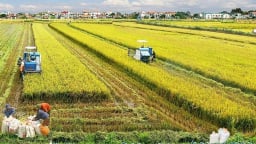 80 năm quản lý đất đai [Bài 1]: Đổi mới chính sách cho tam nông