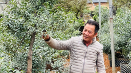 Hà Nội kiện toàn Ban Chỉ đạo Chương trình mục tiêu quốc gia