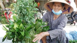 Xanh mãi miền ký ức