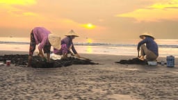 Người đi về phía biển