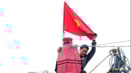 Mình thương cá là đặng thương mình