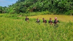 Lào Cai có thêm hai di sản văn hóa phi vật thể quốc gia