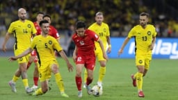 Đội tuyển Việt Nam tụt 4 bậc trên bảng xếp hạng FIFA