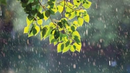 Mưa qua miền nhớ