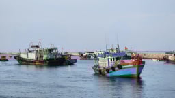 Hải trình cùng kiểm ngư: [Bài 5] Sứ mệnh giữ ‘màu xanh’ cho biển cả