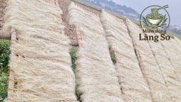 Hà Nội phê duyệt bảo hộ nhãn hiệu miến dong Làng So