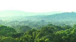 Lâm nghiệp, thủy sản Hà Nội giữ đà tăng trưởng