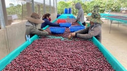 Xuất khẩu tăng tốc, hàng loạt ngành cán mốc tỷ USD