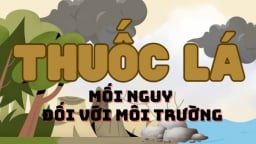Infographic: Thuốc lá - mối nguy đối với môi trường