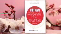 Việt Nam - nhìn từ Nhật Bản, cảm từ trái tim