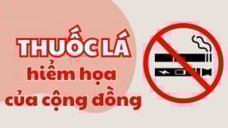 Infographic: Khói thuốc lá - hiểm họa với cộng đồng