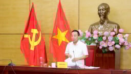 Nghệ An còn 53 ổ dịch tả lợn Châu Phi chưa qua 21 ngày