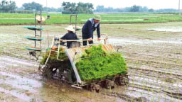 Về nơi chật vật giữ nước mùa hạn, tiêu nước mùa mưa