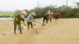Agribank Đắk Nông tiếp sức nông dân phát triển kinh tế