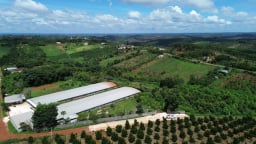 Đắk Nông đặt môi trường là trụ cột phát triển