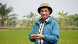 Làm nông nghiệp tử tế giữa ruộng đồng An Thanh