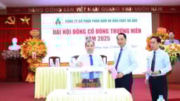 Đạm Hà Bắc đặt mục tiêu lợi nhuận 123 tỷ đồng năm 2025