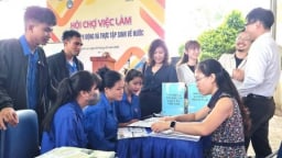 Lao động, thực tập sinh nước ngoài về nước cơ hội việc làm luôn rộng mở