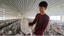 Nuôi thỏ lợi nhuận không nhỏ