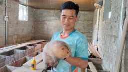 Phong trào nuôi con đặc sản lan tỏa khắp xứ Thanh