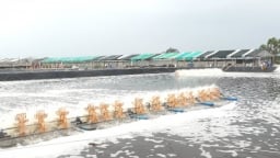 Chủ động phòng, chống nắng nóng kéo dài trong nuôi trồng thủy sản