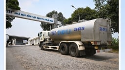 Loạt sáng kiến xanh giúp giảm dấu chân carbon tại các nhà máy TH true MILK