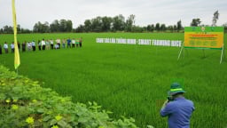 Ưu tiên ứng dụng công nghệ sinh học trong đổi mới mô hình tăng trưởng