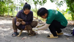 [Bài 3] 'Giảng đường' của sinh viên thú y