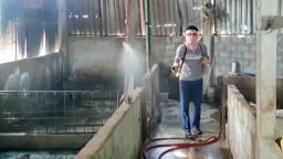 Khó thay đổi tâm lý chủ quan của người chăn nuôi trong phòng chống dịch bệnh