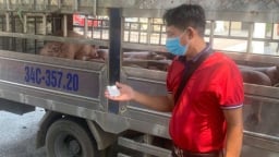 Phú Thọ lập đoàn kiểm tra công tác phòng, chống dịch bệnh động vật