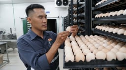 [Bài 3] Bên trong nhà máy ấp trứng hiện đại nhất Đông Nam Á