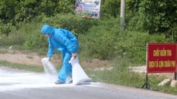 Quảng Trị tiêu hủy trên 170 tấn lợn bị dịch tả lợn Châu Phi