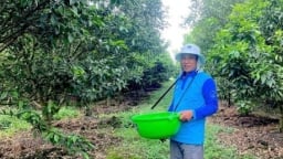 YaraLiva giúp tăng sức chống chịu của cây trồng trước biến đổi khí hậu khắc nghiệt