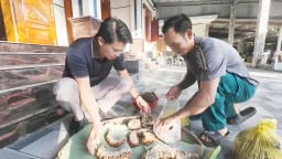 Nuôi loài 'đốt chẽ chân trâu' mỗi tổ thu về hơn triệu đồng