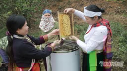 Mật ong Bản Dao khẳng định thương hiệu OCOP 3 sao