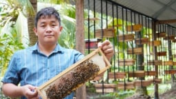 Nuôi ong tách tầng, hiệu quả tăng bằng lần